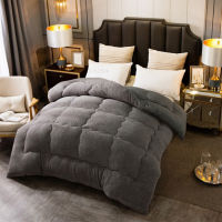 Autumn Winter Thicken Warm Lamb Wool Quilt Blanket Single Double King Queen Bed Duvets Ho Comforter Cover Home Bedding