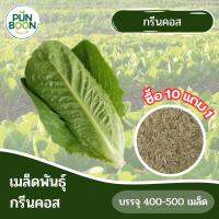 [10 แถม 1] ปันบุญออร์แกนิค เมล็ดพันธ์ุ ผักสลัด เมล็ดพันธ์ุ กรีนคอส Green Cos  1 ซอง บรรจุ 400-500 เมล็ด งอกง่าย โตไว