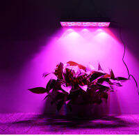 ไฟLED ไฟ Grow Light 45W 169LED 220V ไฟปลุกต้นไม้ ไฟช่วยต้นไม้ตัวเร็ว แถมสายไฟให้ 1/PCS