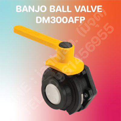 บอลวาล์ว แบนโจ พรีออเดอร์ Ball Valve BANJO 3" DM300AFP Preorder