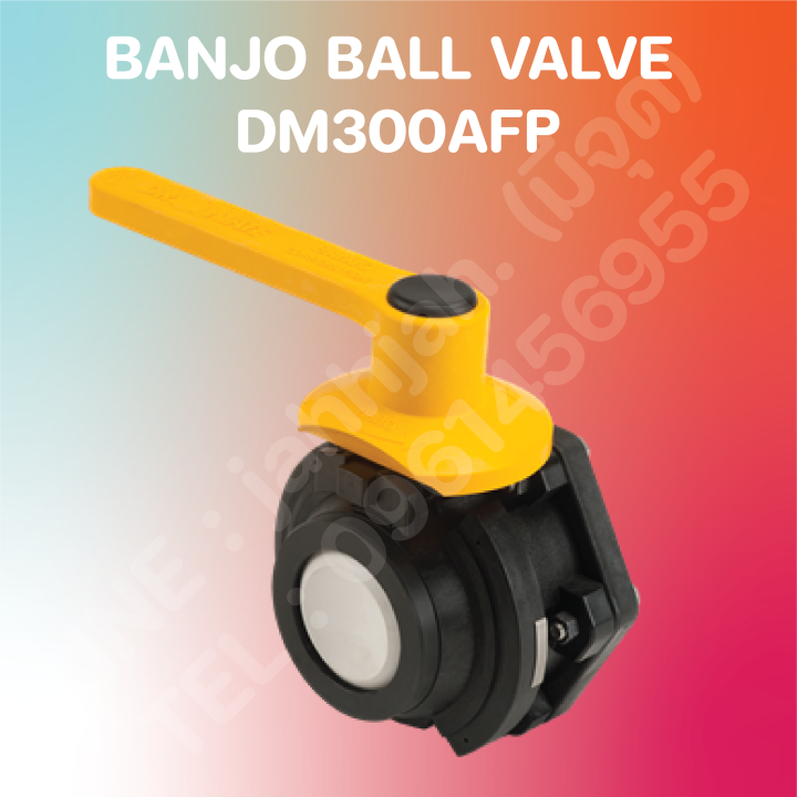 บอลวาล์ว-แบนโจ-พรีออเดอร์-ball-valve-banjo-3-dm300afp-preorder