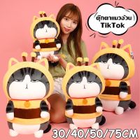 【Moucter】ตุ๊กตาแมวอ้วน TikTok ตุ๊กตาแมว My Royal Wan ตุ๊กตาตัวใหญ่