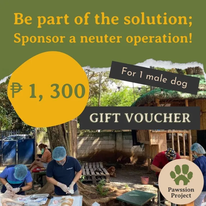 Pawssion Project P1300 Sponsor a Neuter Operation for a Female Dog