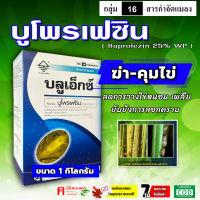 ** แพ็ค 10 กล่อง ** บลูเอ็กซ์-บูโพรเฟซิน 25% ( 1 kg ) ? ยาฆ่า-คุมไข่เพลี้ย สารยับยั้งการลอกคราบของแมลง ควบคุมการฟักไข่ ลดการวางไข่