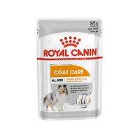 ห้ามพลาด [ลด50%] แถมส่งฟรี ilu❉[ยกกล่อง 12 ซอง] Royal Canin Coat Care อาหารสุนัขโต บำรุงเส้นขน 85 กรัม