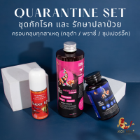 ? ดีที่สุด ? ชุดกักโรค และ รักษาปลาป่วย (พราซี่ , กลูต้า , ซุปเปอร์อิ๊ค) ครอบคลุมทุกสาเหตุ / ปลาคาร์ฟ / ปลาทอง / ปลาสวยงาม