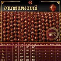 อาเกตแดงอมณี | Carnelian (เส้นยาว 39 ซม.)