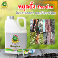 เคลียร์ฟอส (ClearPhos) ทุเรียนยิ้ม 5 ลิตร ทำลายเชื้อรา สร้างภูมิคุ้มกัน ดูดซึม รักษาแผล หยุดยั้งไฟทอปเธอร่า และฟิวซาเรียม