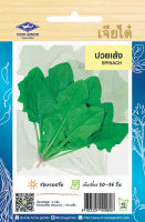 ปวยเล้ง Spinach เมล็ดพันธุ์เจียไต๋ โฮมการ์เด้น