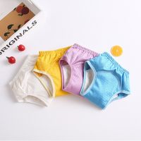 Hot Selling Reusable Mesh Pants Breathable Pants Learning Pant Training Pants Waterproof Baby Diaper Pant Underwear Diaper Pants Diaper Gift