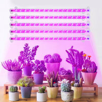 Indoor Full-spectrum Plant Growth Lamp Succulent Potted Timing Dimming LED Plant Fill Light Greenhouse Plant Hydroponic Lights