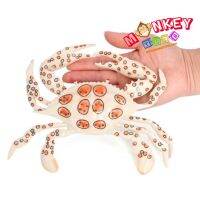 Monkey Toys - โมเดลสัตว์ Crab ปูม้า ขาวจุด ขนาด 23.00 CM (จากหาดใหญ่)