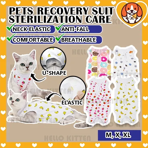 HK Pet Recovery Suit Sterilization Care Prevent Lick Cat Recovery Suit