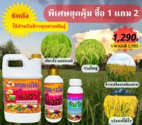 หงสา 6พลัง สูตรสำเร็จสำหรับข้าว ฉีดได้ทุกช่วง ชื้อ1 แถม 2 ราคาเพียง 1,190 บาท