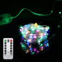 5M 10M USB String Fairy Lights 8 Modes Starry Twinkle Lights with Remote for Bedroom Party Garden Indoor Outdoor Decoration