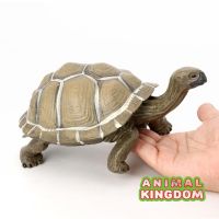 Animal Kingdom - โมเดล Turtle เต่า กาลาปากอส เขียว ขนาด 21.00 CM (จากสงขลา)