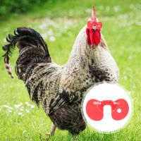 ROSENICE【Hot Sale】 150 pcs แว่นตาไก่ Rooster Anti Fighting Peepers สัตว์ปีก Blinders แว่นตาไก่พลาสติก