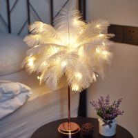 Feather Table Lamp Bedroom LED Night Light Ins Girl Heart Bedside Lamp Modern Wedding Decoration Small Lantern Festive Gift