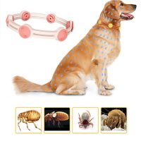 ZZOOI Dog Antiparasitic Collar Remove Flea And Tick Collar Retractable Adjust Dog Necklace Small Medium Dogs Cat Pet Supplies 2022 New