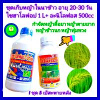 ชุด เก็บหญ้าในนาข้าว ข้าวอายุ 20-30 วัน อะนิโลฟอส 500cc +ไซฮาโลฟอป 1 Lกำจัดหญ้าดื้อยา วัชพืชดื้อยา หญ้าข้าวนก หญ้าดอกขาว