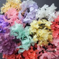 ✷【พร้อมส่ง】ดอกไฮเดรนเยียแห้ง ไฮเดรนเยีย สีพาสเทลกลีบเล็ก Preserve hydrangeas ดอกไม้ทำเรซิ่น♡