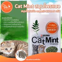 PawSociety สมุนไพรแมว Cat Mint ผงแคทนิป 5 กรัม