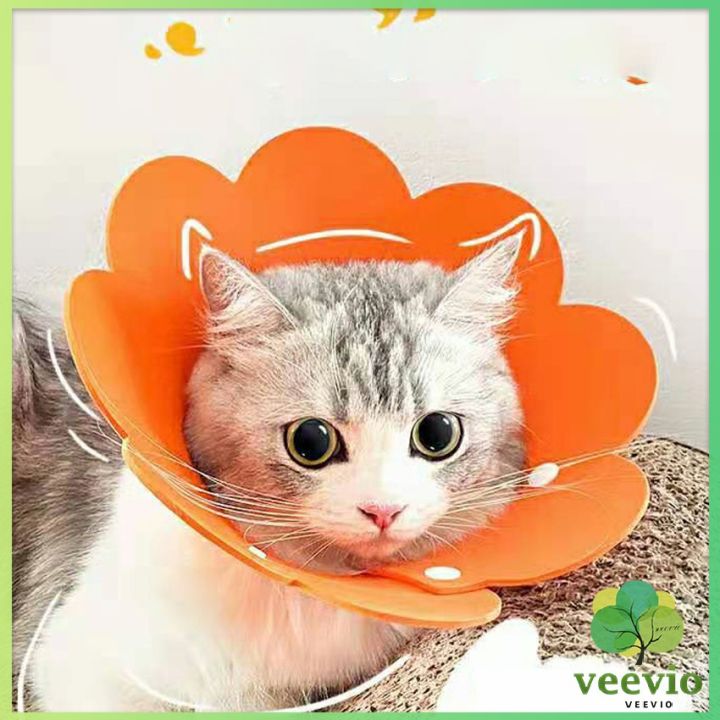 veevio-คอลล่าแมว-ปลอกคอดอกไม้-ปลอกคอกันเลีย-คอลล่าสุนัข-cat-coll