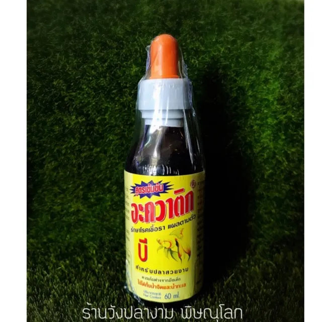 ยาเหลือง Aquatic B รักษาโรคเชื้อรา แผลตามตัว | Lazada.co.th