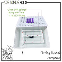 ถาดโคลน เซ็ทน้ำ Aeroponic cloning set hydroponic โคลนง่ายๆด้วย ระบบน้ำ ปักชำน้ำ