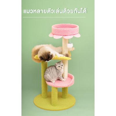 MASTI ส่งจากไทย!! Cat Climbing Frame คอนโดแมว สัตว์เลี้ยงขนาดเล็กบรรเทาความเครียดของเล่น Cat Claw Grinding Toy กรอบปีนแมว ของเล่นสำหรับน้องแมว LI0407