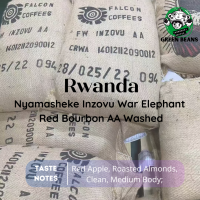 สารกาแฟ Rwanda Nyamasheke Inzovu War Elephant Red Bourbon AA Washed