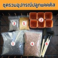 ?โปรพิเศษ+ ดินแคตตัส ชุดปลูกแคตตัส มือใหม่ สุดฮอต!