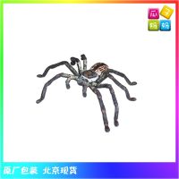 ? Genuine and exquisite model Animals of Australia spider simulation reptile insect animal model toy 78081