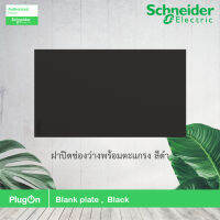 Schneider ฝาปิดช่องว่างพร้อมตะแกรง สีดำ Blank plate, Black, รุ่น AvatarOn A รหัส M3T01BP_BK  สั่งซื้อได้ที่ร้าน PlugOn