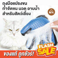 ?ถูกสุด! พร้อมส่ง? C&amp;H ถุงมือแปรงขน ที่แปรงขน กำจัดขน นวด อาบน้ำ สำหรับสัตวเลี้ยง