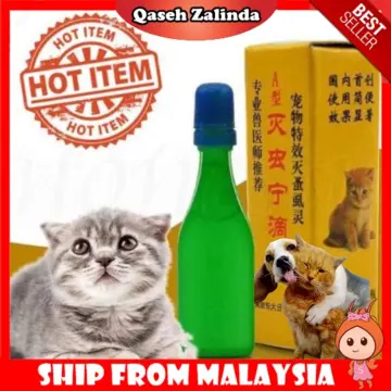 Shop Racun Kutu Kucing Online Jun 2022 Lazada Com My