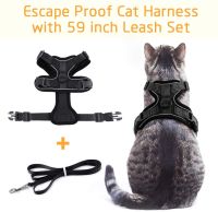 Cat Harness and Leash Set for Walking Small Dog Harness With Reflective Strips Nylon Mesh Pet Clothes For Puppy Kitten Collars