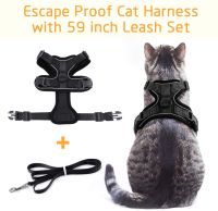 Cat Harness and Leash Set Mesh Breathable Kitten Cats Harnesses Small Dog Puppy Harness for French Bulldog Chihuahua Pug