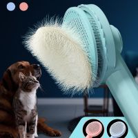 Pet Hair Remover Brush Grooming Hair Comb Removes Comb Short Massager Pet Goods For Cats Dog Brush Accessories Supplies Brushes  Combs