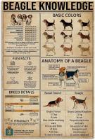 Beagle Dog Knowledge ป้ายโลหะดีบุกโปสเตอร์การพิมพ์-ร้านตัดผมห้องนอนห้องน้ำโรงเรียนร้านครัว Home Art Wall