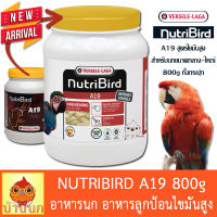 Nutribird A19 800g (โฉมใหม่) อาหารนกลูกป้อน สำหรับลูกนกที่ต้องการพลังงานไขมันสูง อาหารนก อาหารลูกนก ลูกป้อน high fat