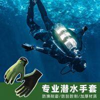 【Original import】 Diving gloves special for catching fish dragon boat rowing men and women thin outdoor sun protection surfing swimming snorkeling gloves