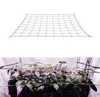 4 39; 39; Mesh Trellis Netting Plant Support Elastic ScrOG/ LST/ HST Net with Hooks for Indoor Grow Tents Box Kit Low Stress Training