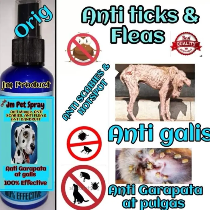 Can I Put Flea Medicine On My Pregnant Dog