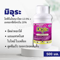 มิอุระ 500มล. ดูดซึมเร็วสุด ไดฟีโคลนาโซล + อะซอกซีสโตรบิน กำจัดเชื้อรา ดูดซึม ใบไหม้ ใบจุด แอนแทรคโนส