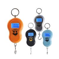 Hanging Weighing 50kg/10g Electronic Pocket Weight Scale Portable Fishing Mini Luggage Display Digital Hook Scale Luggage Scales