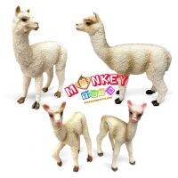 Monkey Toys - โมเดลสัตว์ Alpaca Family Set อัลปากา ขาว พ่อแม่ลูก ชุด 4 ตัว (จากหาดใหญ่)