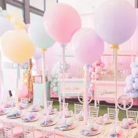 Ohoho 18/36 inch Large Pastel Macaron Balloons Christening Girl Baby Shower Candy Matte Balon Birthday Decoration for Wedding Cleaning Tools