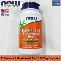 เอ็กไคนาเซีย รากโกลเด้นซีล Echinacea &amp; Goldenseal Root 225/225mg Blend 100 Veg Capsules - Now Foods