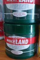 จารบีทนน้ำและรับแรงกด Moly Land (เล็ก)